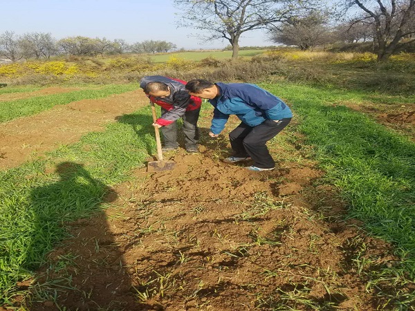 1680571191149572.jpg 圖片3.jpg